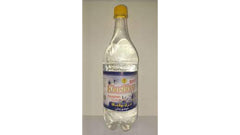 Golchekan Zamani Eryngium