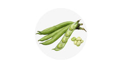 Broad Beans - 1KG