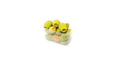 Prickly Pear - 1PACK