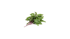 Basil - 1Bunch