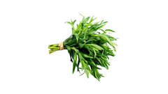 Taragon - 1Bunch