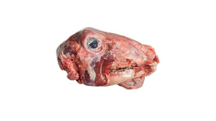Halal Lamb Head - 1PC