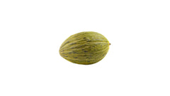 Frog Melon - 1PC