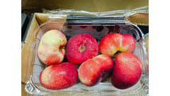 Flat Nectarine - 1PACK