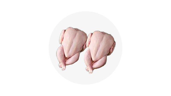 Halal Broiler Chicken - 1PC