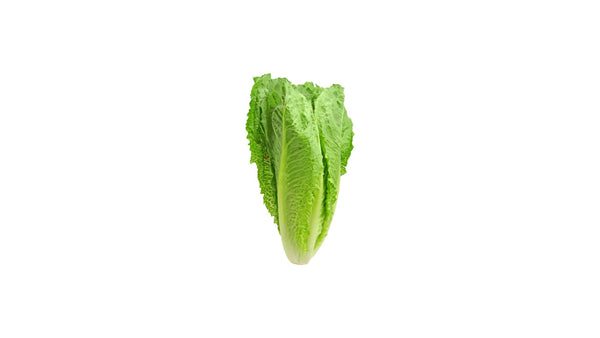 Cos Lettuce - 1PC
