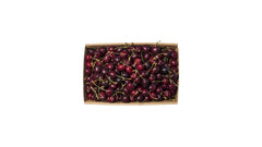 Cherry XL  - 2KG