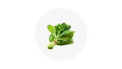 Spinach - 1Bunch