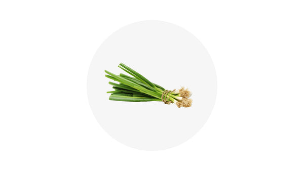Spring Onion - 1Bunch