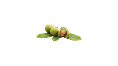 Walnut Fresh - 1KG