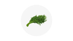 Dill - 1Bunch