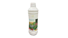 Anjoman Mint Yohurt Drink 500g