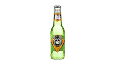 Icy Monkey Kiwi Apple 250ml