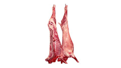 Halal Whole Lamb Approx. 14KG