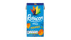 Rubicon Mango Still Juice 288ml
