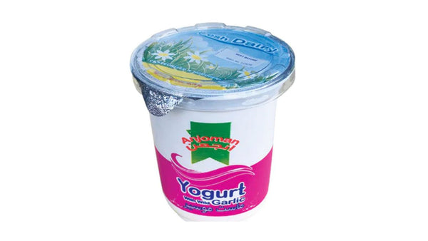 Anjoman Yogurt With Garlic