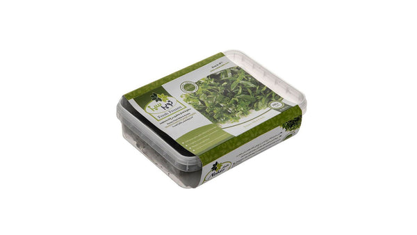 Nobarsabz frozen fried mint & parsley 250g