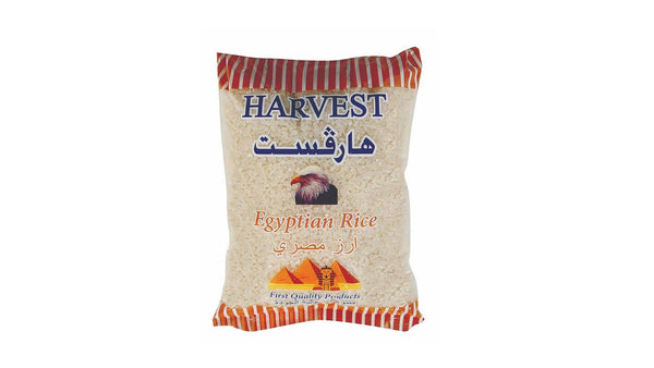 Harvest egyptian rice