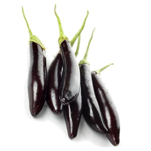 Raviah Aubergine - 1KG